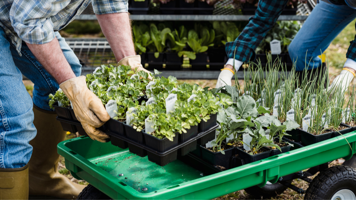 Al-Bio – Associação Agroecológica do Algarve